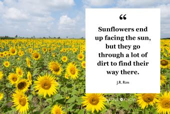 20 Sunflower Quotes to Make Your Day Better | LoveToKnow