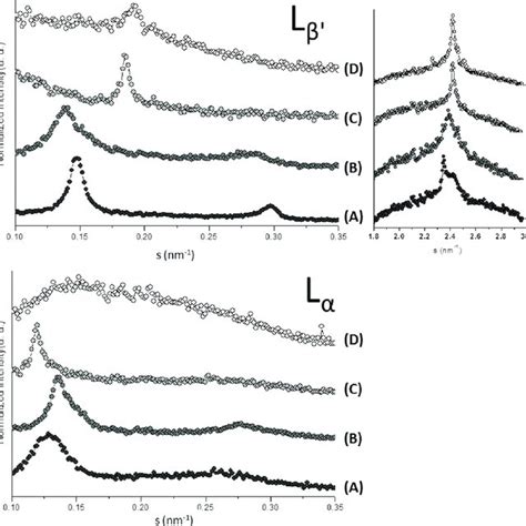 X Ray Diffraction Patterns SAXS And WAXS At 20 C For DPPC At PH 5 0