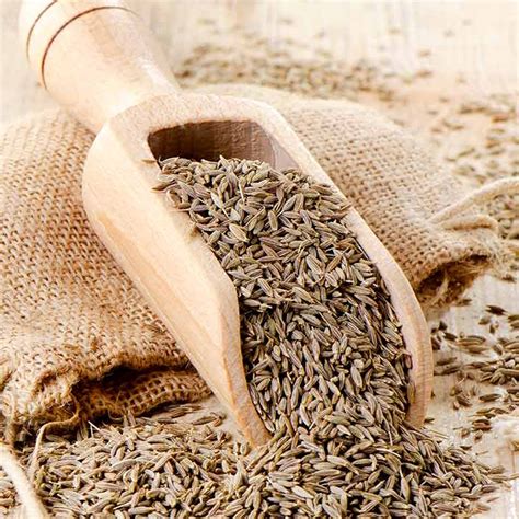 Organic White Cumin Seeds Safaid Zeera Masalas Food Additives