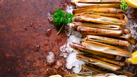 Couteau De Mer Tout Savoir Sur Ce Fruit De Mer