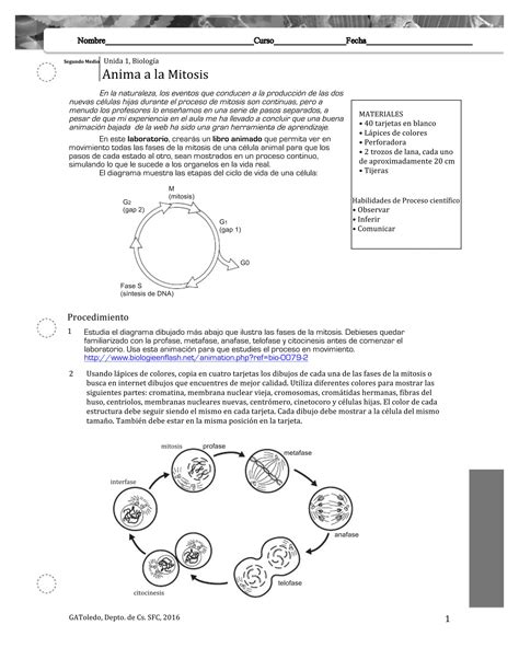 Anima A La Mitosis Una Gu A Para Segundo A O Medio Biolog A Pdf