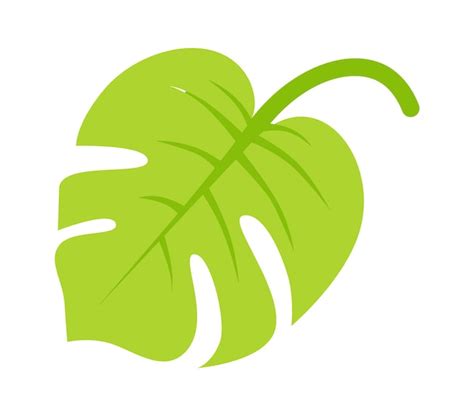 Ilustraci N Plana De Planta De Hoja Tropical Vector Premium