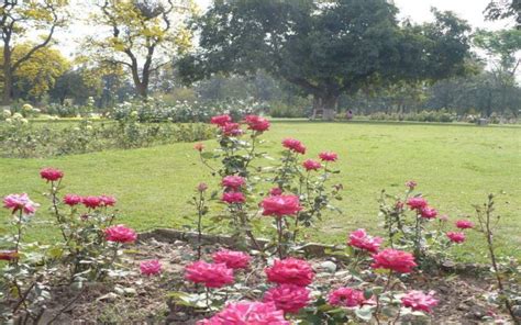 Rose Garden Chandigarh, Timings, History, Tourist Activities, Entry