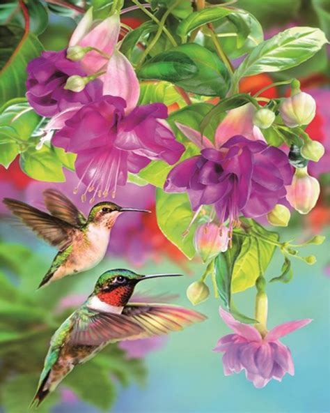 Hummingbird Flower Painting at PaintingValley.com | Explore collection of Hummingbird Flower ...