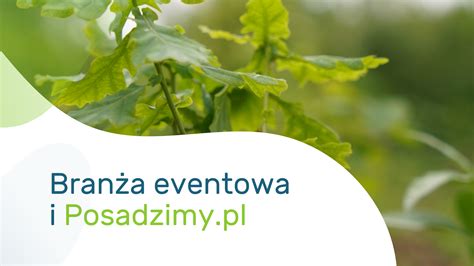 Bran A Eventowa I Posadzimy Pl Blog Posadzimy Pl