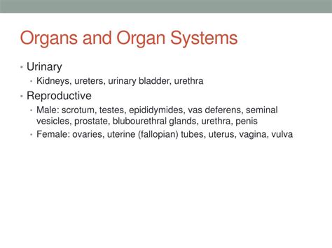 Ppt Med 103 Medical Terminology Powerpoint Presentation Free