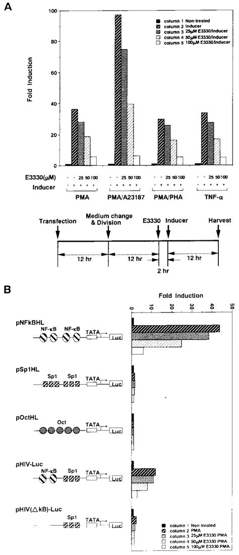 The Effect Of E3330 On Gene Expression A The Effect Of E3330 On