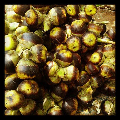 Nongu Palm Fruit Foodlicious Pinterest Palm