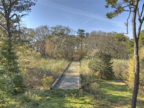 Boardwalk Across Marsh Into Woods At Rachel Bunny Lambert Mellons