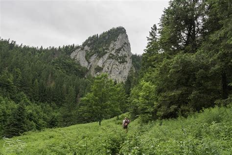 Tatry Bielskie Szlaki Mapa oraz Relacja Hasające Zające