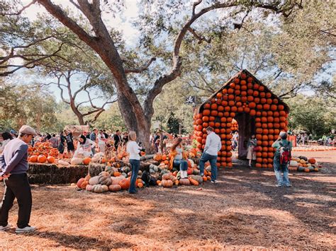 12 Pumpkin Patches And Corn Mazes In Dallas Fort Worth Fall 2024