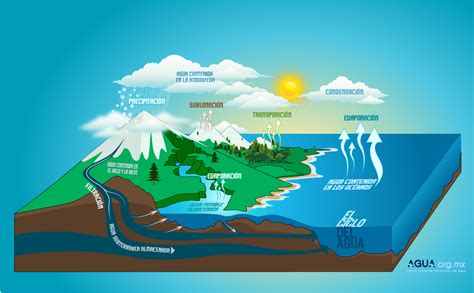 Infografías Del Ciclo Del Agua Para Primaria