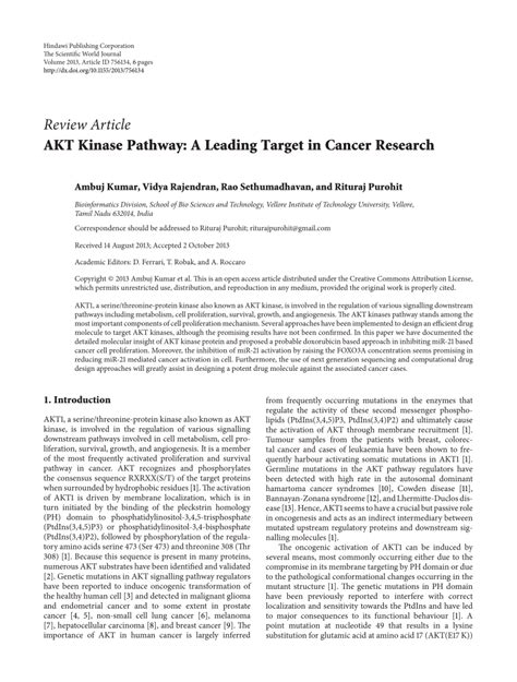 (PDF) AKT Kinase Pathway: A Leading Target in Cancer Research