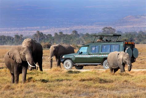 Best Time To Visit Masai Mara 2024 Laina Mirabel