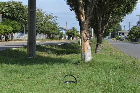 Jovem Morre Ao Colidir Moto Contra Rvore Em Avenida De Ariquemes Ro