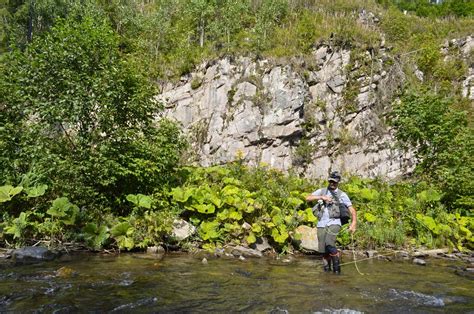 The grasshopper habitat in the background | Global FlyFisher