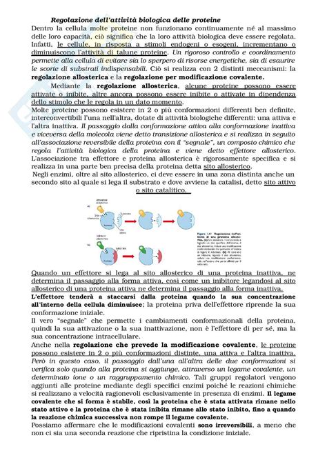 Chimica Della Cellula Le Macromolecole