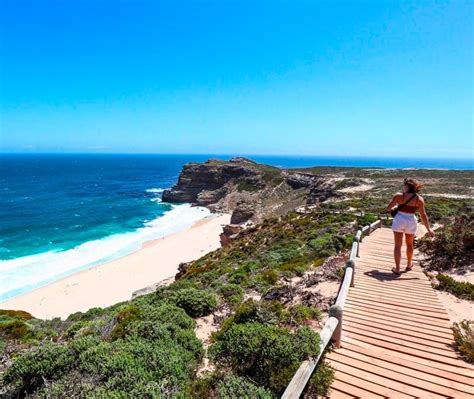 Cape Peninsula Day Tour Zeehonden Pingu Ns En Kaap De Goede Hoop