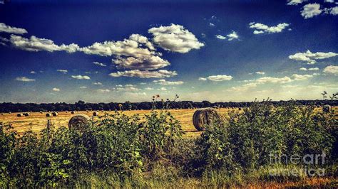 Hay Season Photograph By Tammy Reynolds