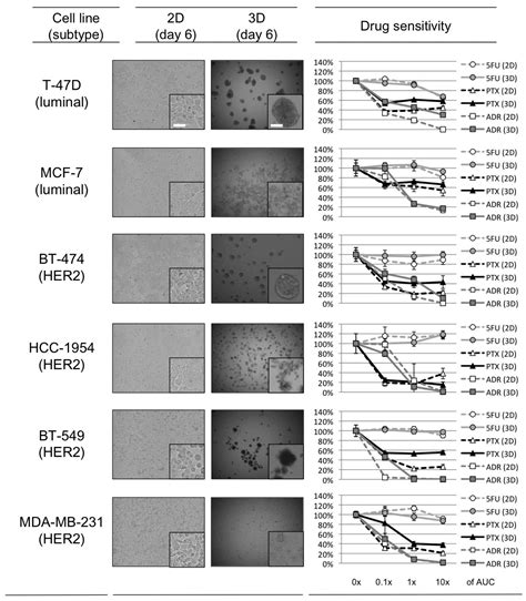 Comparison Of 2d And 3d Culture Models As Drug Testing Platforms In