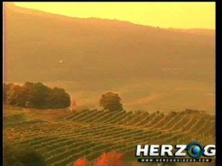 Herzog Videos Classic German Porn Filth Video Hotntubes