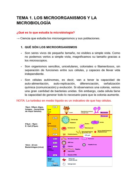 Tema 1 Los Microorganismos Y La Microbiología Pdf Las Bacterias Procariota