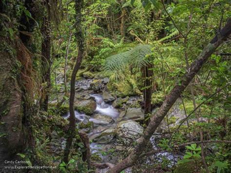 Te Wāhipounamu - South West New Zealand | World Heritage Sites