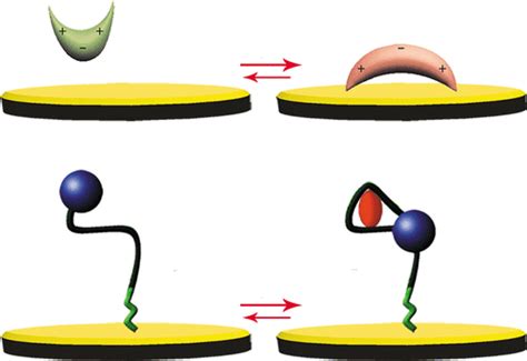 Bioconjugate Chemistry Vol 27 No 11