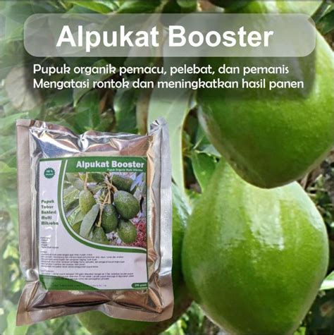 Pupuk Booster Alpukat Organik Agar Cepat Berbuah Lebat Vitamin