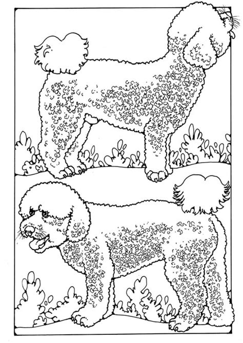 Coloring Page Poodles Free Printables Img 28211