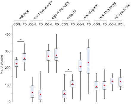 Rnai Pathways Contribute To Developmental History Dependent Phenotypic