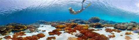 Things To Do In Fiji Activities Tours And Attractions