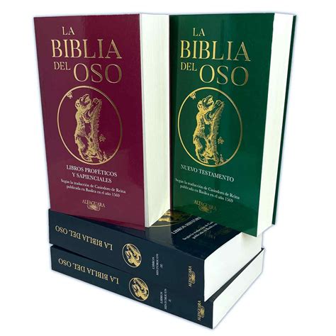 Sintético 101 Foto Biblia Del Oso 1569 Original Precio Mirada Tensa