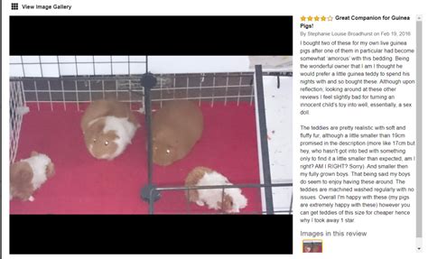 Is This Guinea Pig Toy Really A Sex Doll Syl Waters