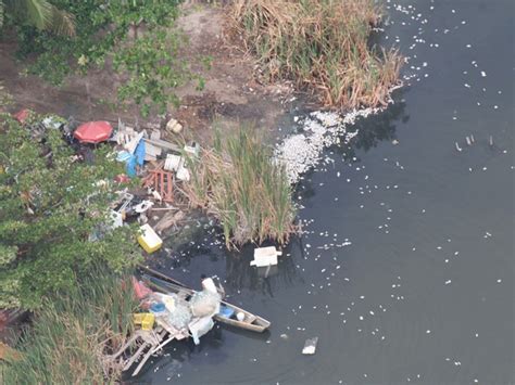 G Duas Toneladas De Peixes Aparecem Boiando Na Lagoa De Piratininga