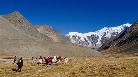 Lower Dolpo Trekking Lower Dolpo Trek Information Lower Dolpo Trek