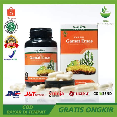 Jual Kapsul Gamat Emas Original Kapsul Gamat Gold Kapsul Gamad Emas