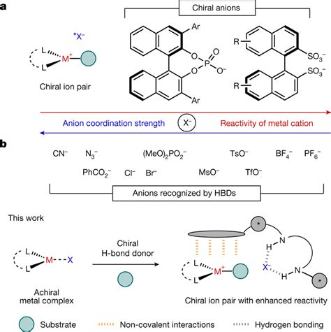 Strategies In Asymmetric Transition Metal Catalysis A Chiral Anions