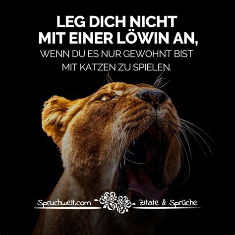 Leg Dich Nicht Mit Einer L Win An Wenn Du Es Nur Gewohnt Bist Mit