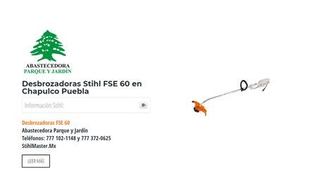 Desbrozadoras Stihl Fse 60 En Chapulco Puebla