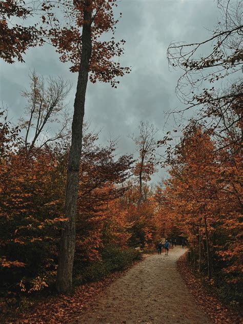 fall pics aesthetic fall hiking dark fall aesthetic outdoors woods dark academia autumn pictures ...