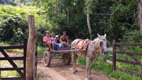 Como é Viver Na Roça Em 2020 Paisagem Rural Vida Na Roça Imagens Da