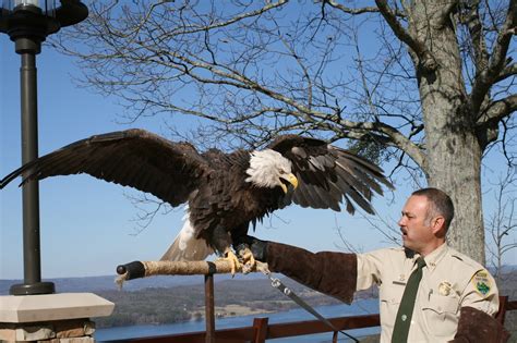 The Eagles Nest Size