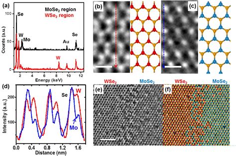 Figure 3 From Growth And Simultaneous Valleys Manipulation Of Two Dimensional Mose2 Wse2 Lateral