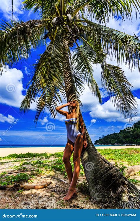 Femme Dans Le Bikini Blanc Posant Au Palmier Photo Stock Image Du