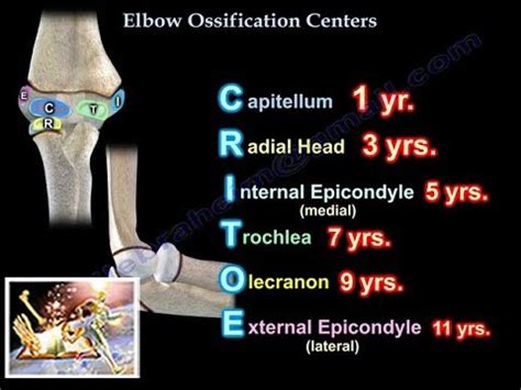 Ossification Centers Elbow