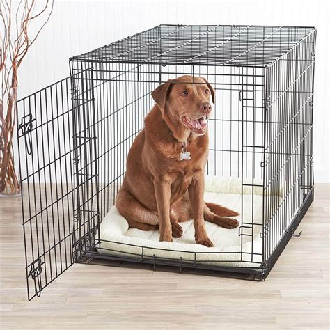 7 Best Wire Dog Crates - BarkForce