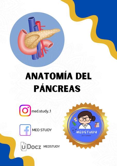 Anatomía del Páncreas MEDSTUDY uDocz