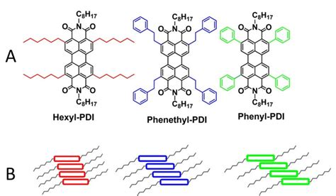 A Molecular Structure Of PDI Derivatives And B The Hypothesized