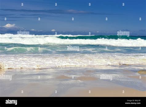 Beach Whitecaps Waves Crash On Shore With Reflections In Sand Monterey